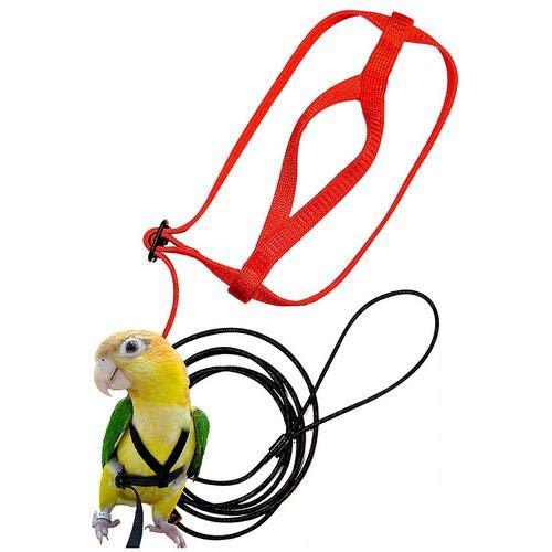 Yestter Elegant Adjustable Anti-Bite Harness and Lead for Pet Birds, Parrots, African Grey, Cockatoos, Yellow Ring Neck, Budgie, Cockatiel XS - PawsPlanet Australia