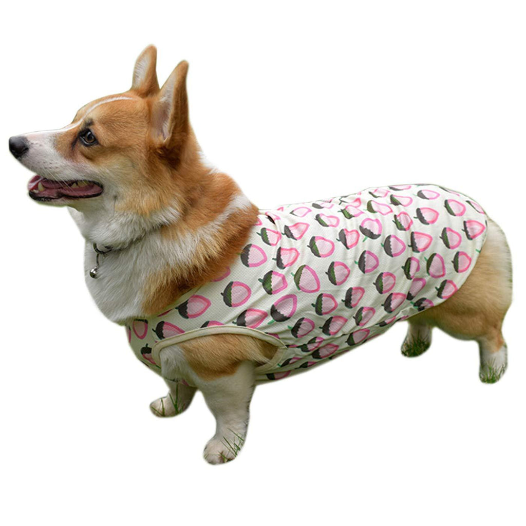 [Australia] - Alfie Pet - Dewi Cooling Vest for Dogs XS Pink 