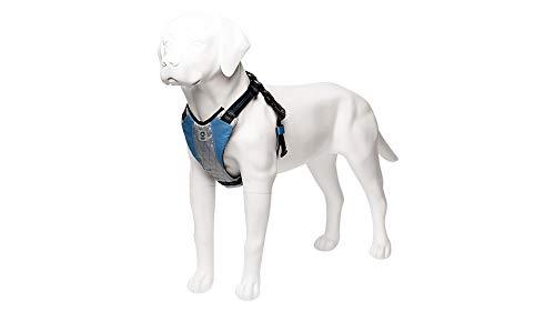 [Australia] - Stunt Puppy Go Dog Glo Harness, Large, Blue 