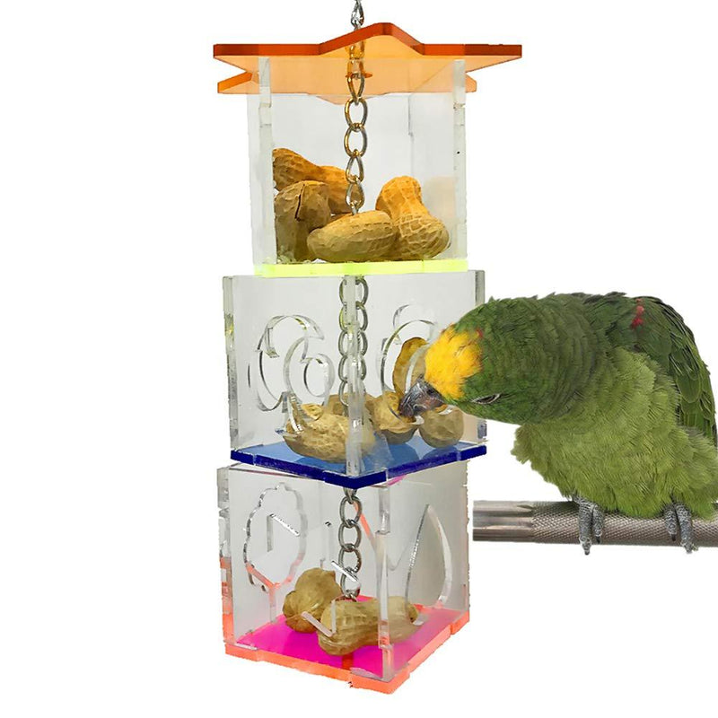 [Australia] - Bird Foraging Box Food Holder Toy for Parrot Parakeet Cockatiel Conure African Grey Cockatoo Macaw Amazon Budgie Lovebird Finch Canary Small and Medium Bird Cage Feeder 