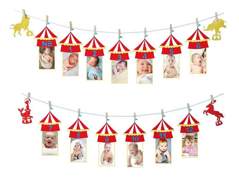 E&L 1st Year Photo Banner Party Supplies , Carnival Theme Photo Banner from NB to 12" Months, for 1st Birthday Party Decorations, for Baby Boy Baby Girl Monthly Milestone Banner Photo Booth Props - PawsPlanet Australia