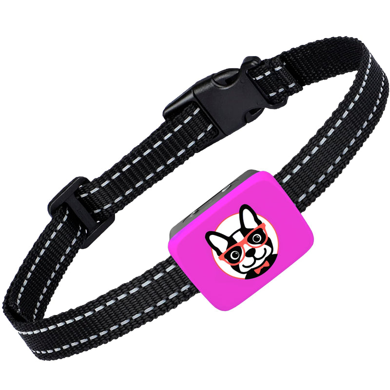 Small Dog Bark Collar Rechargeable – Smallest Bark Collar for Small Dogs 5-15lbs - Most Humane Stop Barking Collar - Dog Training No Shock Anti Bark Collar - Safe Pet Bark Control Device - PawsPlanet Australia