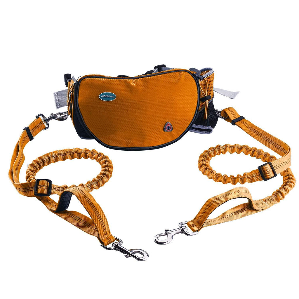 [Australia] - ThinkPet Hands Free Dog Leash for 2 Dogs - Shock Absorbing Bungee Leash for Medium to Large Dogs, Adjustable Waist Belt from 25.6" to 49", Dog Treat Pouch & Bottle Holder 