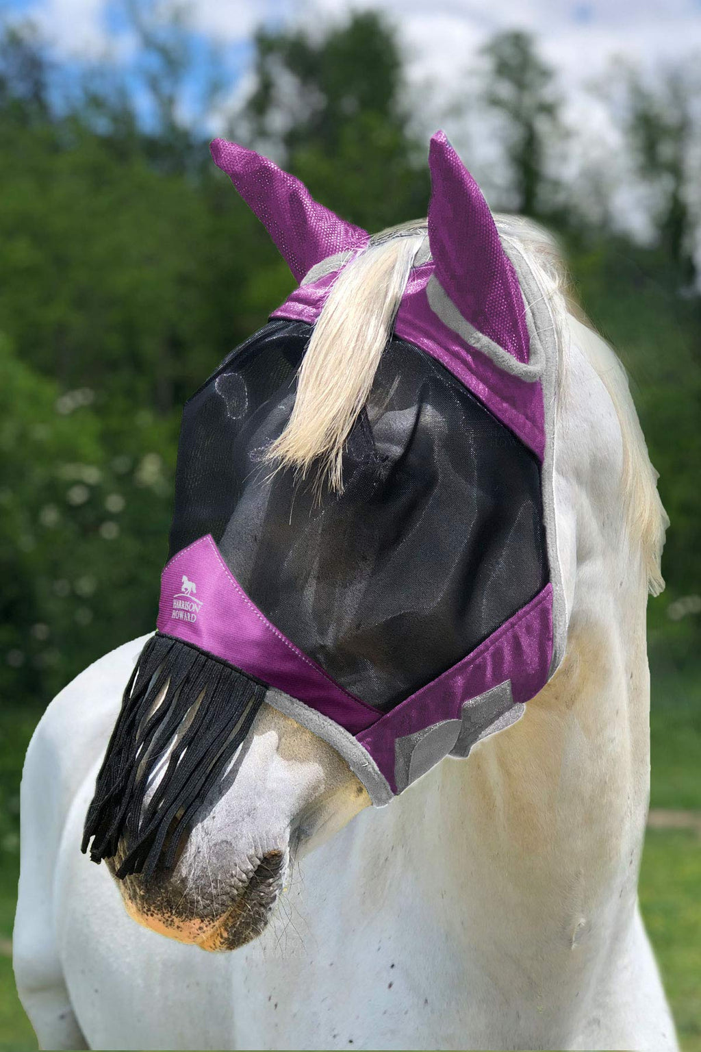 Harrison Howard CareMaster Fly mask with Ears and Nose Fringe Amethyst Cob (M) - PawsPlanet Australia