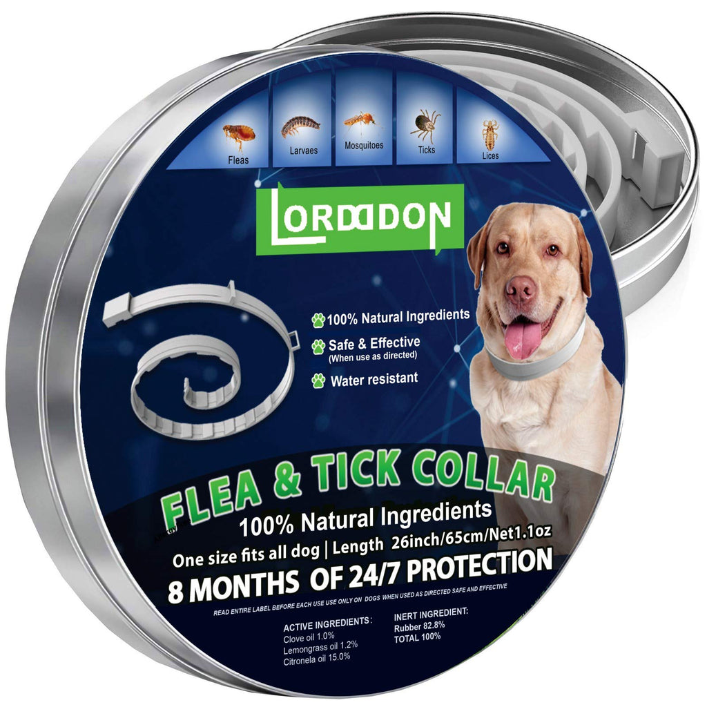 Flea and Tick Prevention Collar One Size Fits All Dogs Flea and Tick Control with Adjustable Design Natural Ingredients Waterproof - 8 Months Protection - PawsPlanet Australia