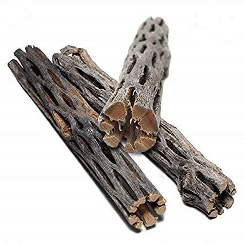 SunGrow Cholla Wood, 5 Inches Long, Aquarium Decoration and Chew Toys for Small Pets, Artistic Home-Decor, Long Lasting Driftwood, 3-Pcs - PawsPlanet Australia