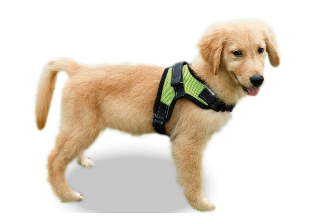 Copatchy No Pull Reflective Adjustable Dog Harness with Handle XX-Small Green - PawsPlanet Australia