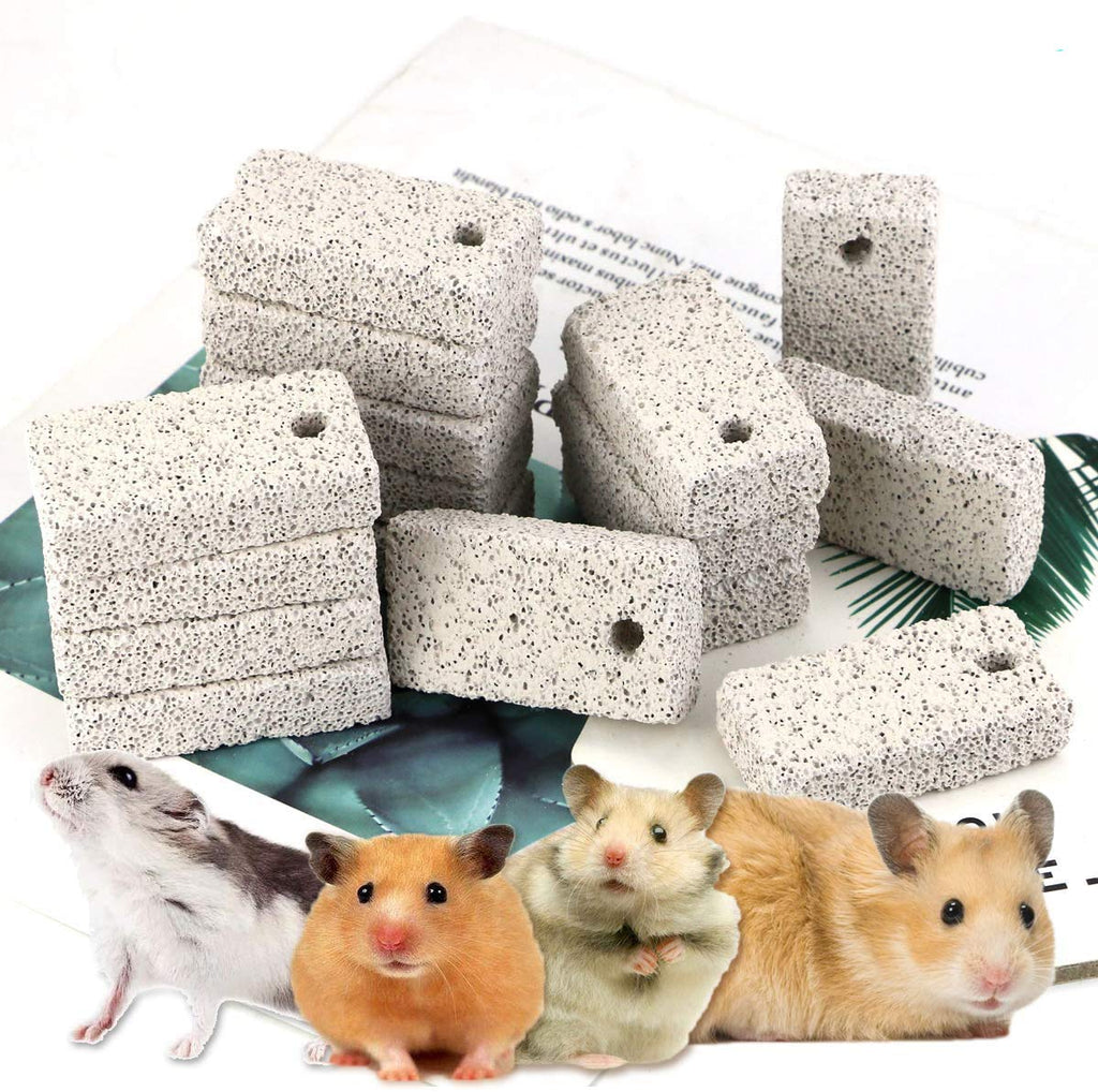 Newbested 20 Pcs Small Animal Pet Lava Bites Chews Toy Teeth Grinding Block Mineral Calcium Stone for Hamsters Parrot Chinchillas Rabbits - PawsPlanet Australia