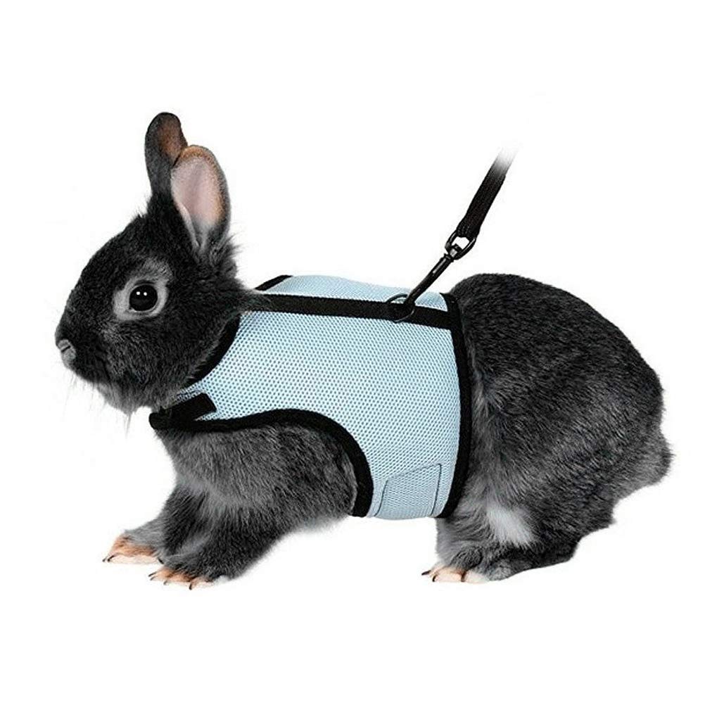 POPETPOP Adjustable Pet Bunny Rabbit Harness and Leash for Walking - Soft Small Pet Outdoor Walking Running Harness with Lead - Small Animal Accessories - Size L (Sky Blue) - PawsPlanet Australia