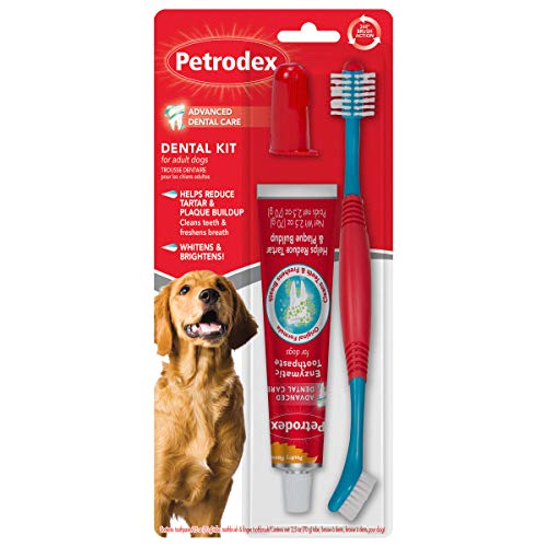 Petrodex Dental Care Kit for Adult Dogs, Poultry Flavor, 3 Piece Set - PawsPlanet Australia