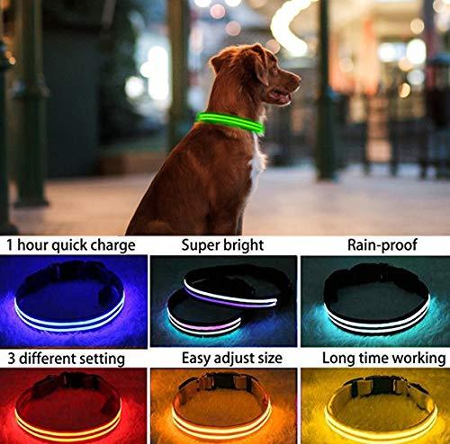 [Australia] - PPWW Light Up LED Dog Collar - Super Bright - USB Rechargeable, Rainproof - Perfect Use in Rainy Day Small (13.3-16.1" / 34-41cm) Green 