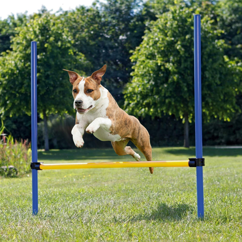 Pet Prime Pet Dogs Outdoor Games Agility Exercise Training Equipment Jump Hurdle bar Obedience Show Training for Dogs - PawsPlanet Australia