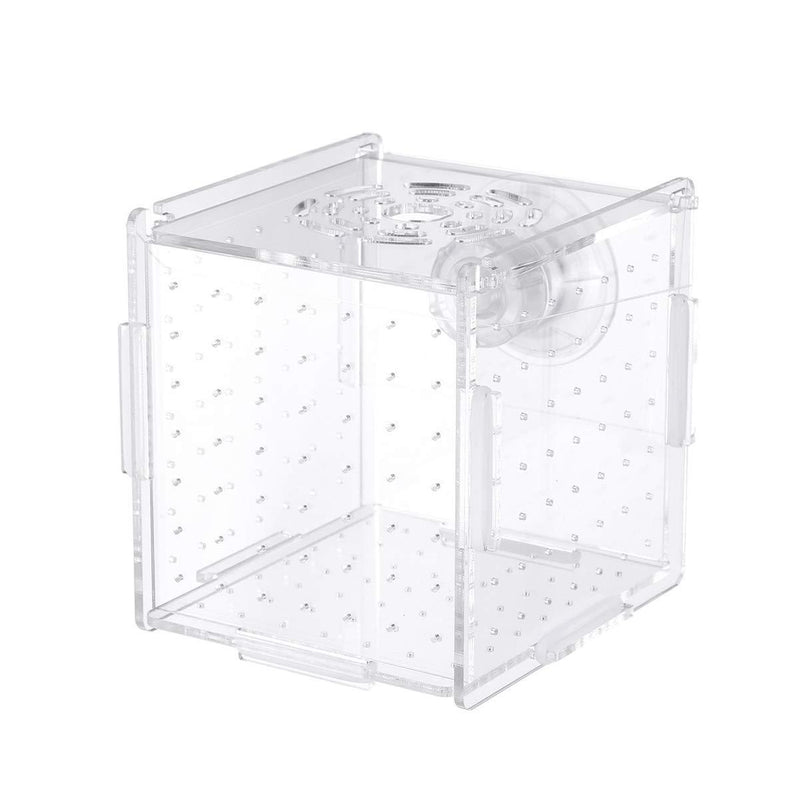 POPETPOP Fish Breeding Box-Isolation Box Breeder Hatchery Incubator Aquarium Fish Breeding Boxes Divider Hatching Boxes Accessory for Small Baby Fishes Shrimp Clownfish Guppy-Small Suction Cup Size 1 - PawsPlanet Australia