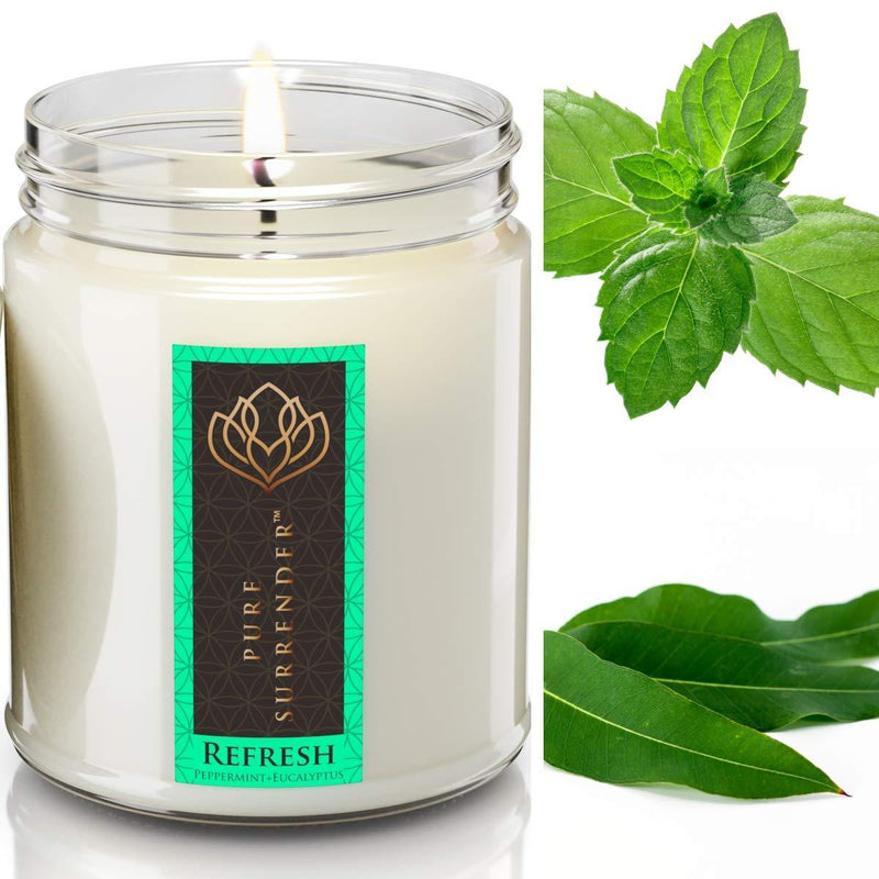 Refreshing Peppermint Eucalyptus Aromatherapy Scented Candles for Home | 100% Pure Essential Oils | Non Toxic Long Lasting Vegan Soy Candles | 9 oz Jar | Hand Made in The USA Refresh - PawsPlanet Australia