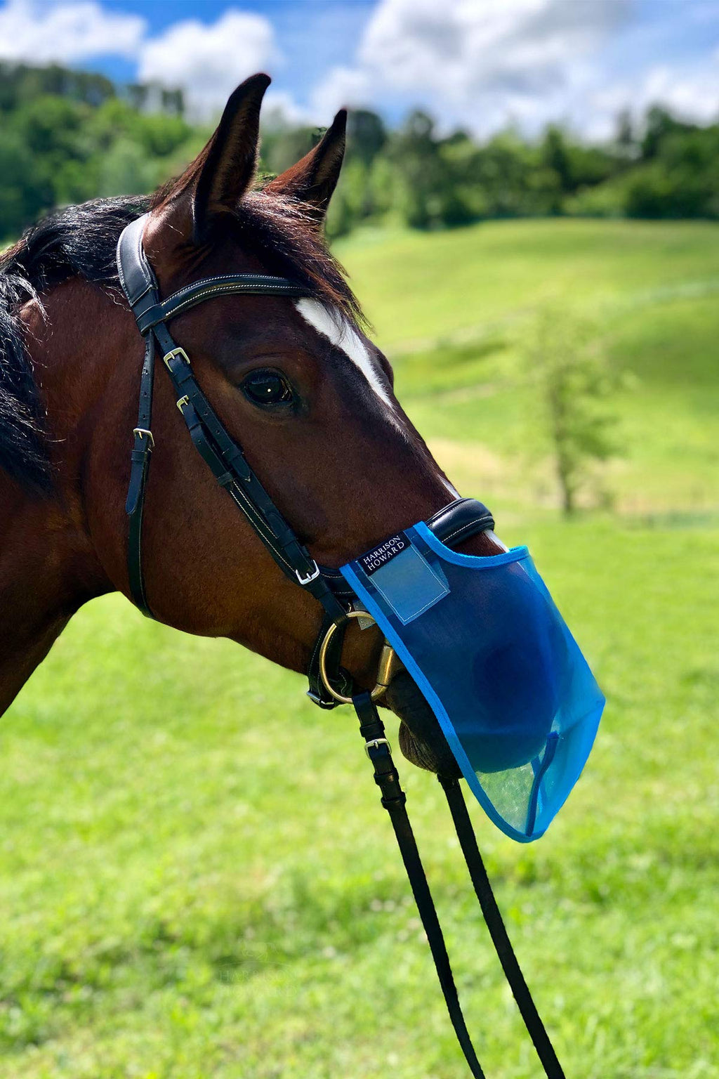 Harrison Howard Shield Nose Net/Filter Blue Cob - PawsPlanet Australia