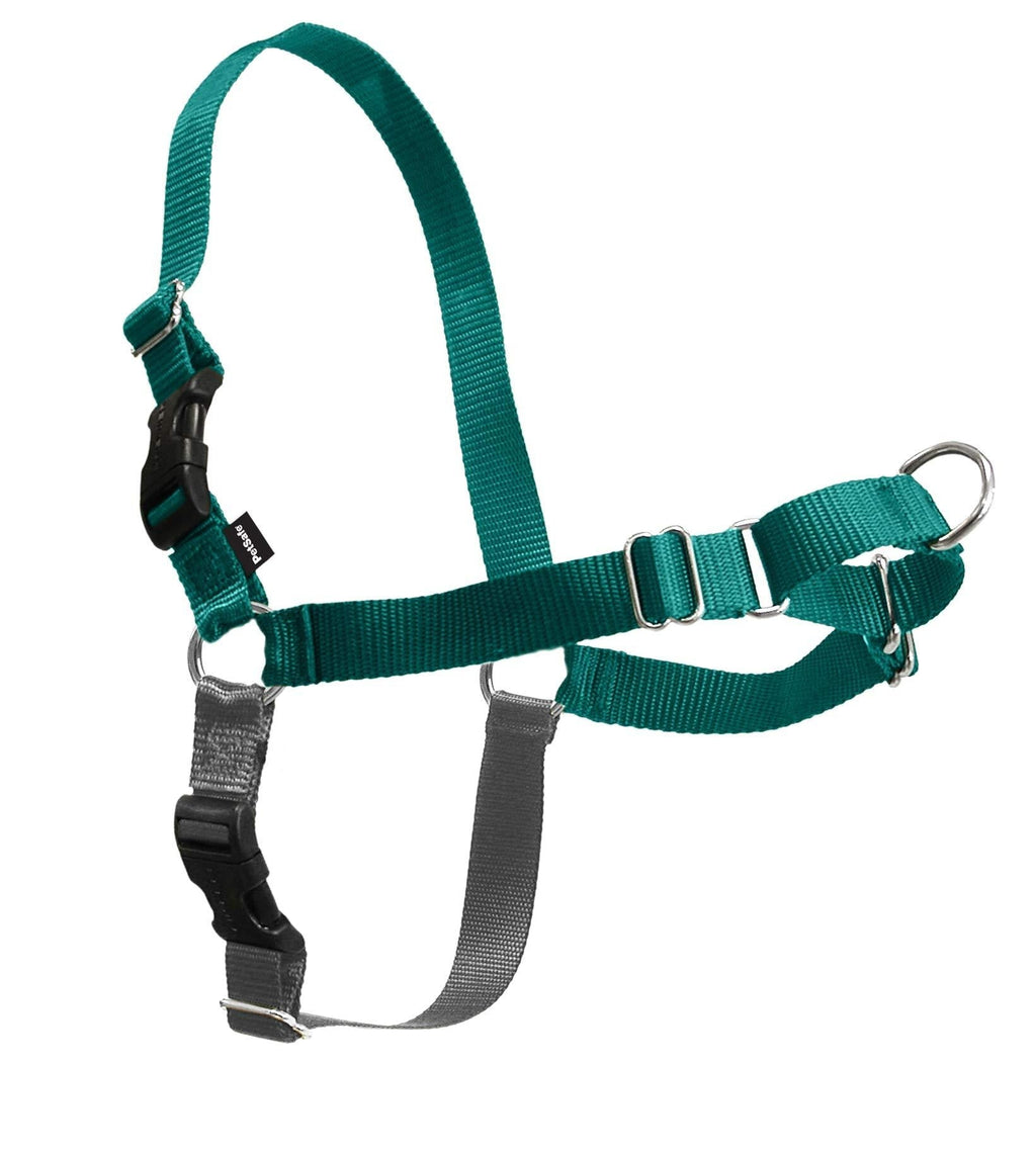 [Australia] - PetSafe Easy Walk Dog Harness, No Pull Dog Harness – Perfect for Leash & Harness Training – Stops Pets from Pulling and Choking on Walks – Works with Small, Medium and Large Dogs Teal 