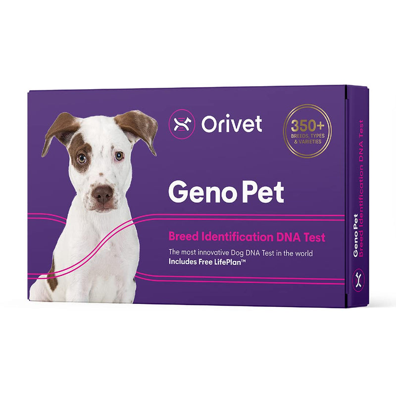 Orivet Genopet Dog DNA Test | Dog Breed Test Kit, Genetic Testing, Heritable Health Risks and Life Plan - PawsPlanet Australia