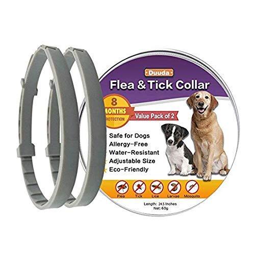 Duuda 2 Pack Dogs Flea and Tick Collar - 8 Months Protection for Dog and Puppies - Waterproof, Adjustable, Hypoallergenic and Ultra Safe Insect Repellent with Natural Essential Oils - PawsPlanet Australia