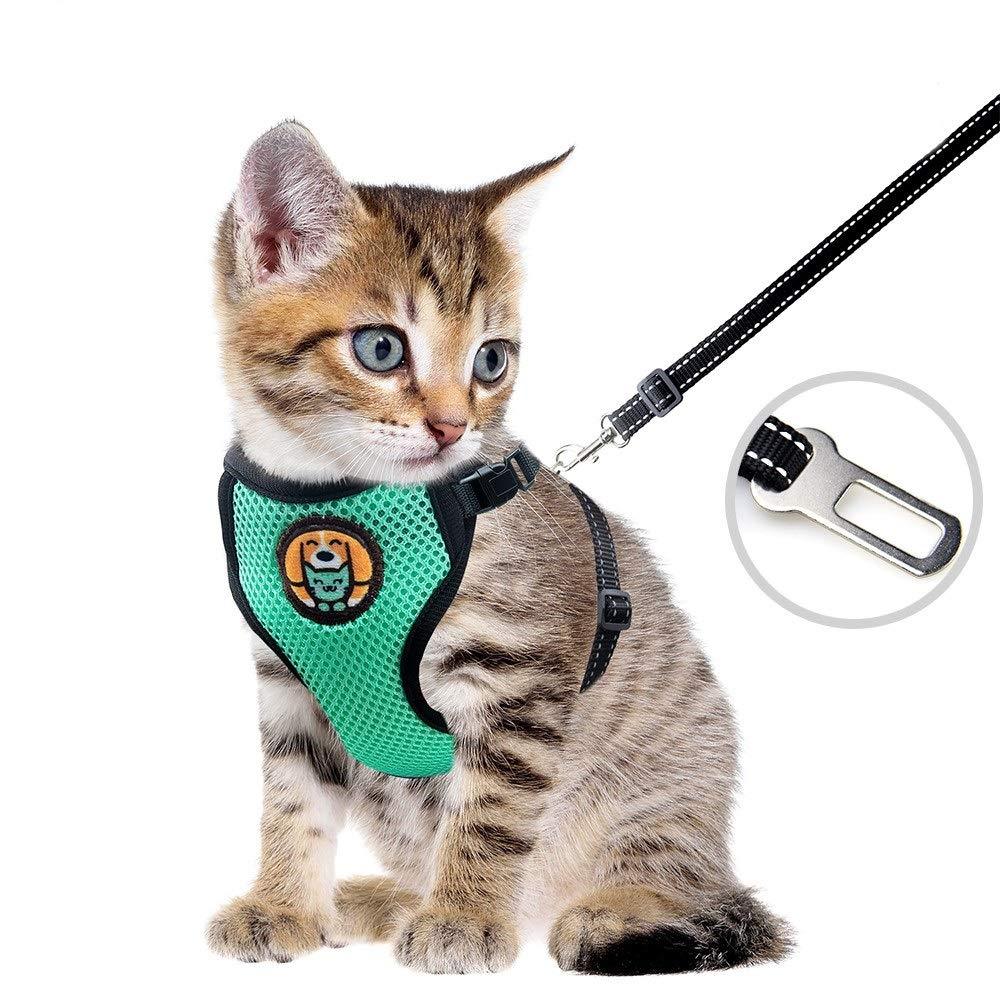 AWOOF Kitten Harness and Leash Escape Proof, Adjustable Cat Kitten Puppy Walking Jacket with Metal Leash Ring, Soft Breathable Small Pet Vest S(Neck: 5.3"-7.9" Chest: 6.9"-11.8" ) Green - PawsPlanet Australia