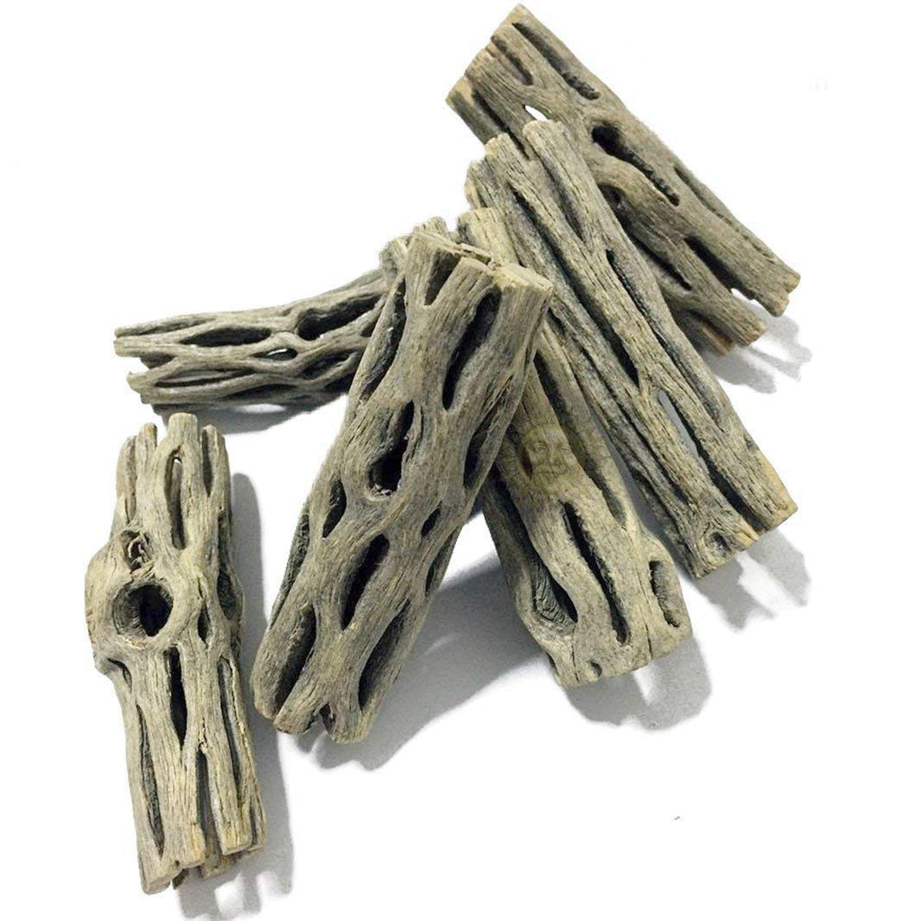 SunGrow Cholla Wood for Air Plants, Whimsical Hobo Chic Planters for Spanish Moss, Book Dividers, Paper Weights and More, 6-Pack - PawsPlanet Australia