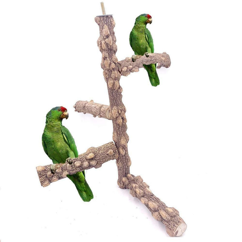[Australia] - Borangs Bird Perch Natural Wood Stand Toy Branch for 3-4pcs Small Medium Parrots Cages Toy 