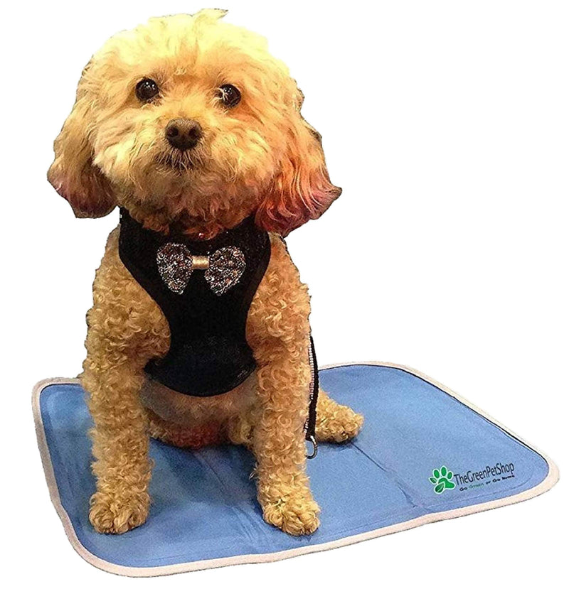 TheGreenPetShop Dog Cooling Mat – Gel Self Cooling Mat for Dogs – The Must-Have Cool Pet Pad for Hot Summer Weather – Patented Pressure Activated Pet Cooling Pad, No Water or Electricity Needed S - PawsPlanet Australia