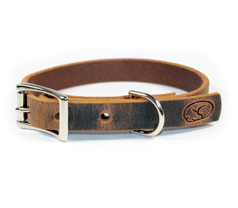 [Australia] - sleepy pup Small Dog Breed 3/4" Full Grain Thick Leather Dog Collar - Made in Virginia S/M: 12"-16" Dark Brown 