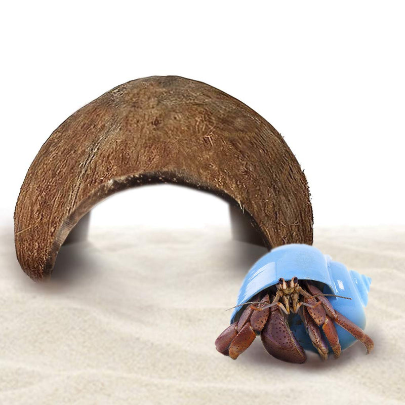 SunGrow Baby Hermit Crab Cave, 3x5 Inches, Raw Coco Tunnel, Hideout for Small Crabs, Encourages Physical Activity and Keeps Them Active - PawsPlanet Australia