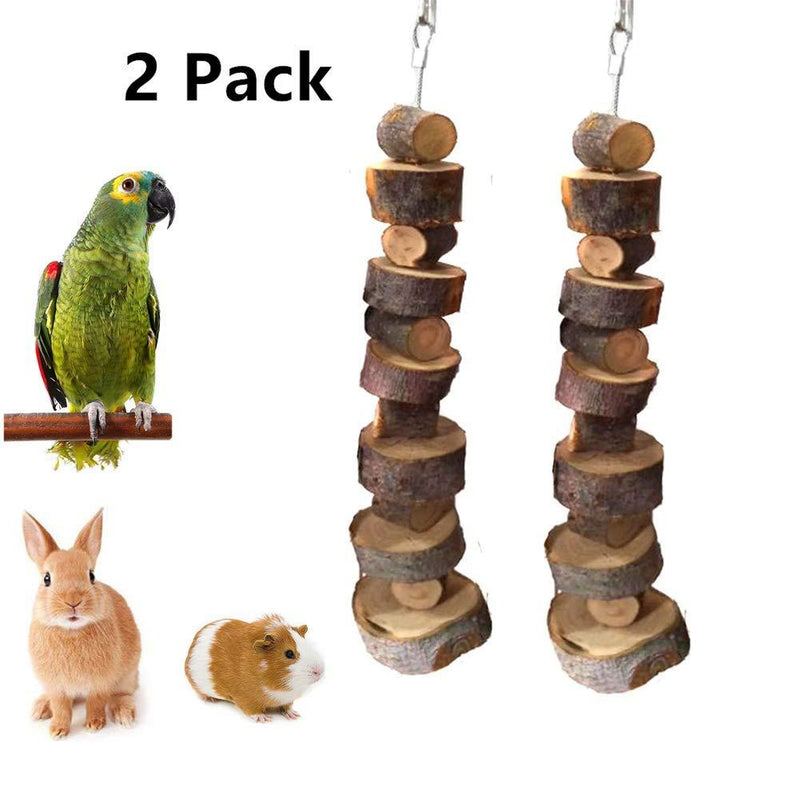 [Australia] - Small Animal Chew Toys Apple Wood Molar Sticks Improves Dental Health Toy for Suitable for Rabbits Chinchilla Hamsters Guinea Pigs Gerbils Mini Macaws Parrots and Other Small Animals 2 Pack 