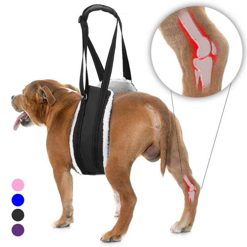 [Australia] - Bolux Portable Dog Sling Rear Legs - Dog Lift Harness for Back Legs, Adjustable Hip Support Harness for Canine Aid Arthritis for Small Medium & Large Dogs Rehab Poor Stability Dogs Walking L Black 