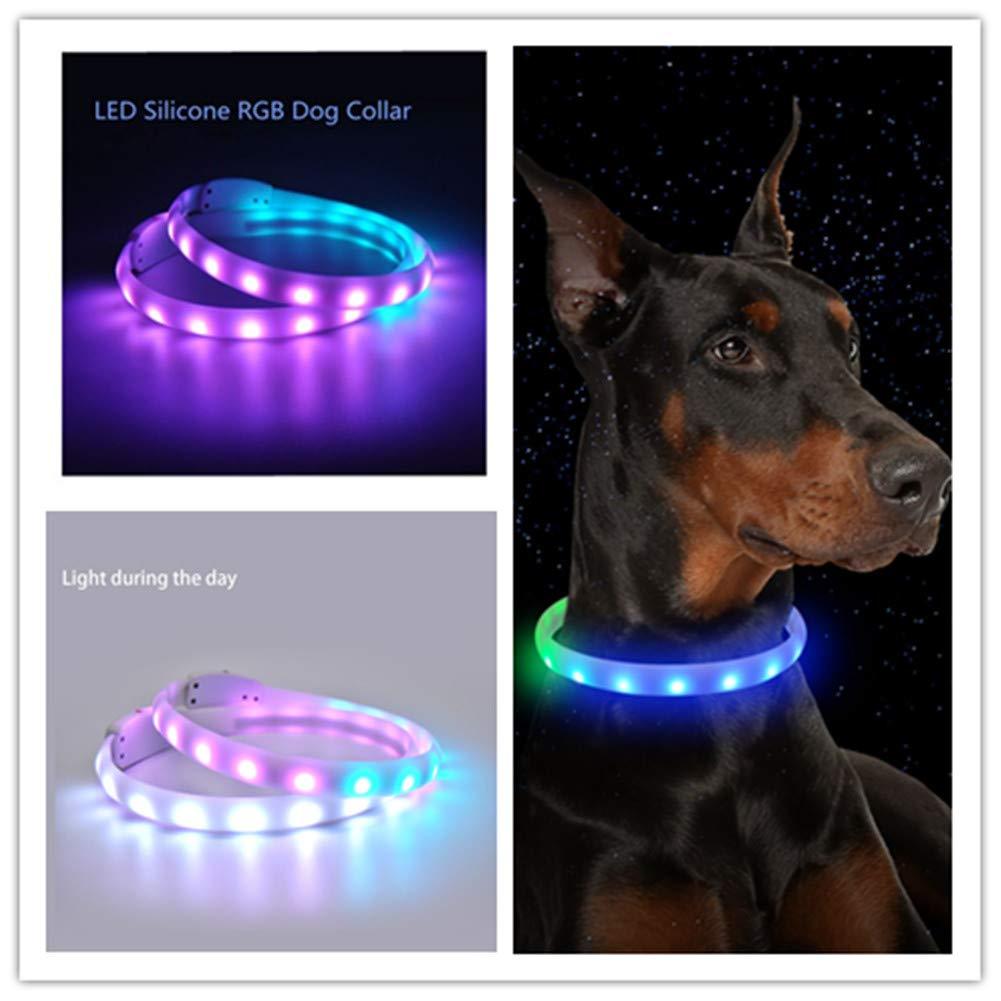 [Australia] - Rugdeer LED Dog Collar USB RGB Glow Brilliantly Coloured Pet Collar Dog Collar Small Medium Large S 