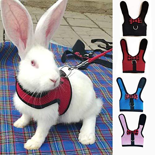 [Australia] - sonicbee Multipurpose Rabbits Hamster Vest Harness with Leash Bunny Mesh Chest Strap Harnesses Ferret Guinea Pig Small Animals Pet Accessories L:Neck 11.38-13.96"，Chest 13.78-15.75" Blue 