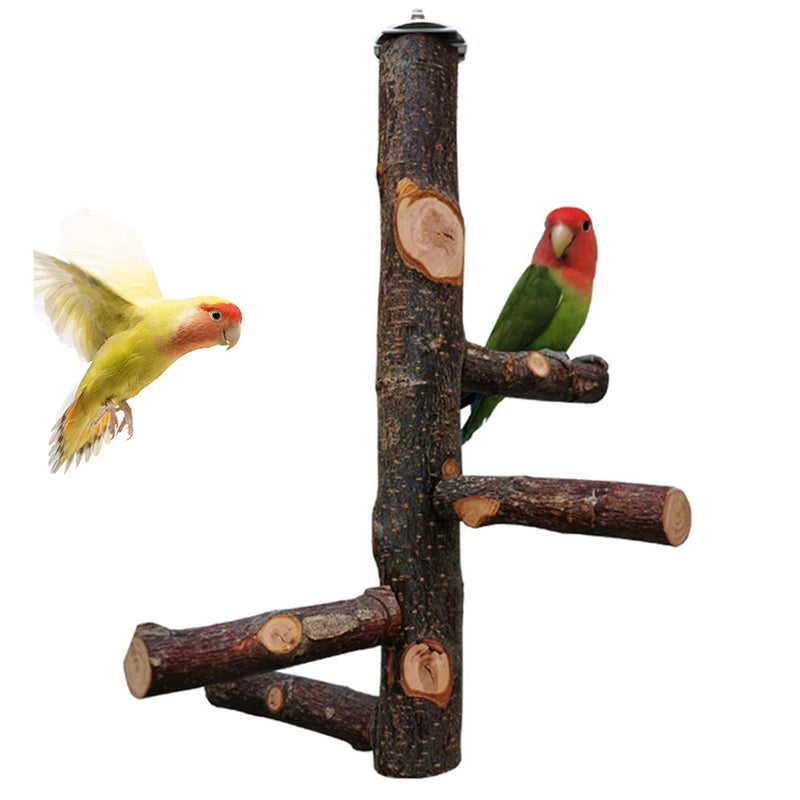 [Australia] - kathson Bird Perch Natural Apple Wood Stand Toy Branch Paw Grinding Standing Climbing Toy Cage Accessories for Small and Medium Parrots,Parakeets,Lovebirds,African Grey,Cockatiels 