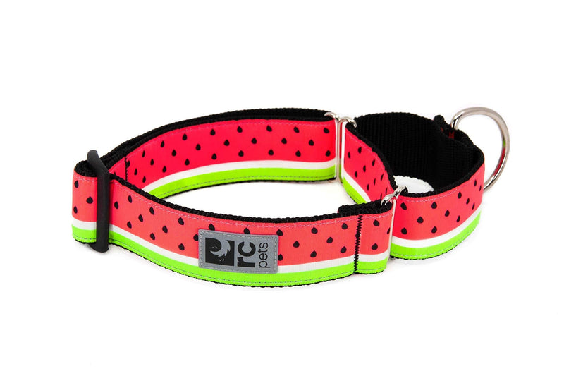 RC Pets 1-1/2 Inch All Webbing Martingale Training Dog Collar, Large, Watermelon - PawsPlanet Australia