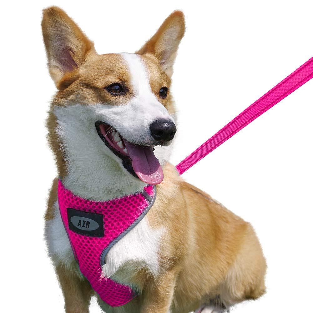 [Australia] - AIR Dog Harness Leash Set, Puppy Leash Harness, No-Choke Dog Harness, Mesh Dog Harness, Comfortable Dog Harness, Plus 4 ft Reflective Dog Leash with Padded Handle S(Neck 9-15 in, Chest 13-20 in) Rose 