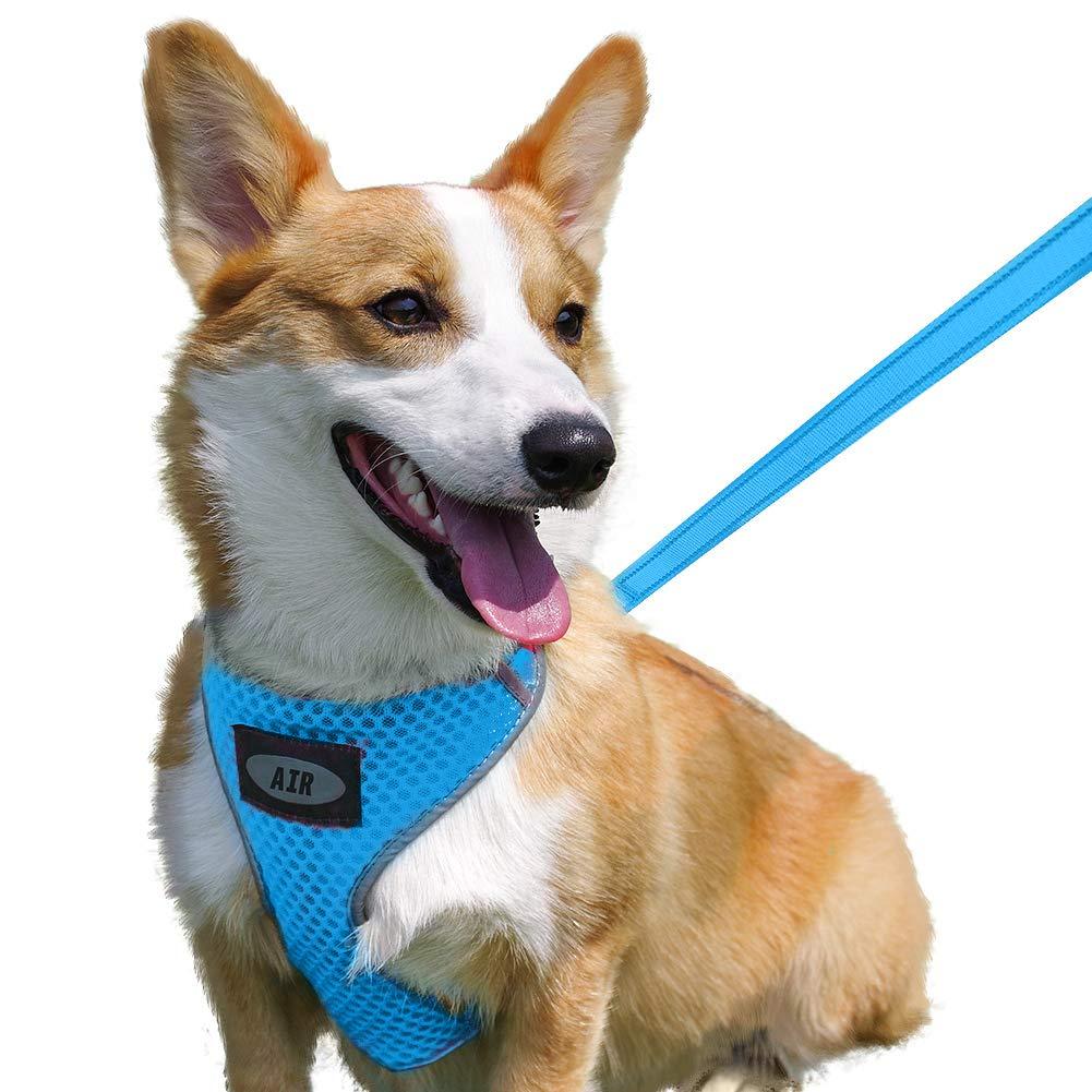 [Australia] - AIR Dog Harness Leash Set, Puppy Leash Harness, No-Choke Dog Harness, Mesh Dog Harness, Comfortable Dog Harness, Plus 4 ft Reflective Dog Leash with Padded Handle S(Neck 9-15 in, Chest 13-20 in) Blue 