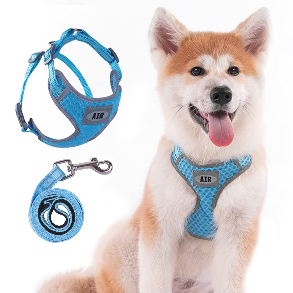 AIR Dog Harness Leash Set, Puppy Leash Harness, No-Choke Dog Harness, Mesh Dog Harness, Comfortable Dog Harness, Plus 4 ft Reflective Dog Leash with Padded Handle, Large, Light Blue L(Neck 13-20 in, Chest 18-30 in) - PawsPlanet Australia