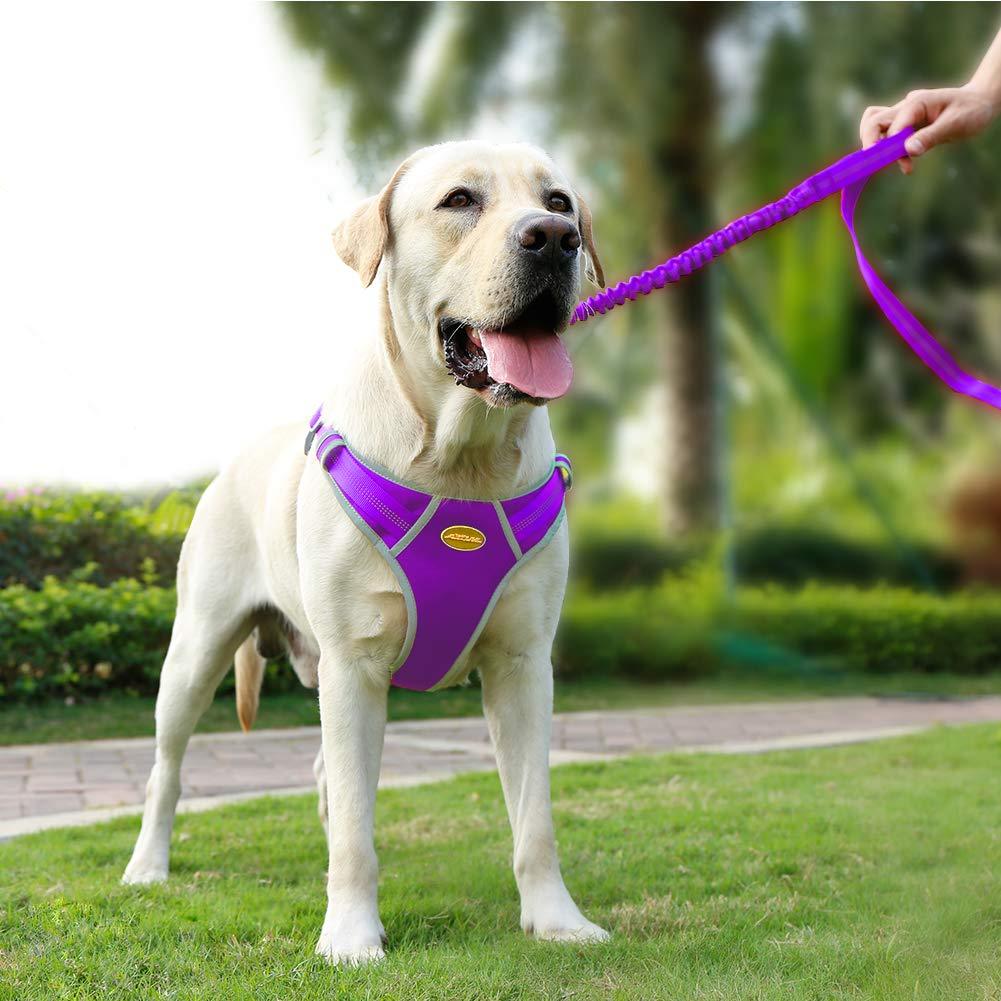 [Australia] - AdventureMore Dog Harness Leash Set, Step-in Escape Proof Reflective Dog Vest, No-Pull Adjustable Halter and Lead, with 5 ft Anti-Pull Dual-Handle Bungee Training Leash M/Chest girth 19-24 in Purple 