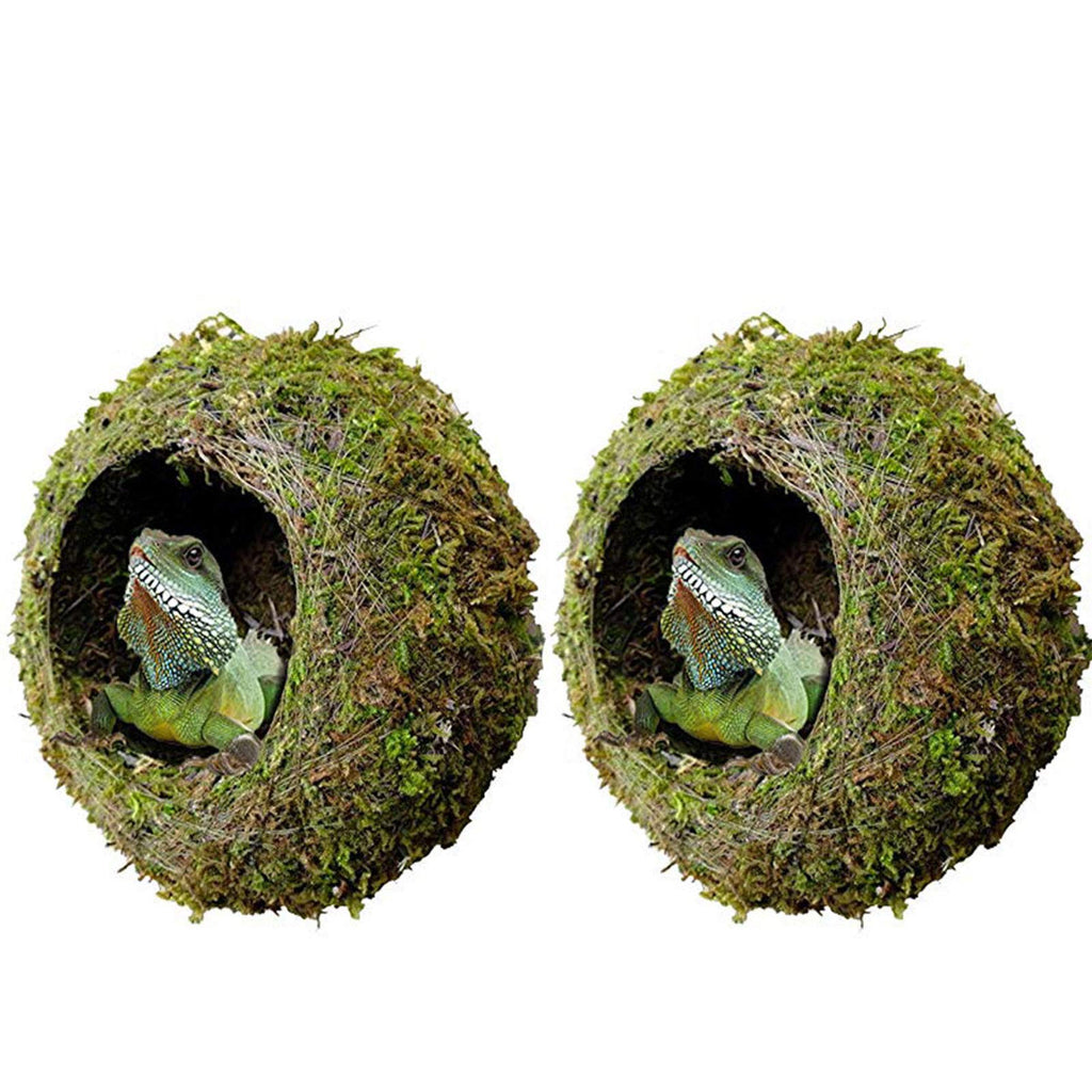 kathson 2pcs 6" Reptile Moss Cave Hide for Humidity,Mossy Hideout for Turtle Crested Gecko Spider Lizard Frog Chameleon 2Pcs(6 in) - PawsPlanet Australia