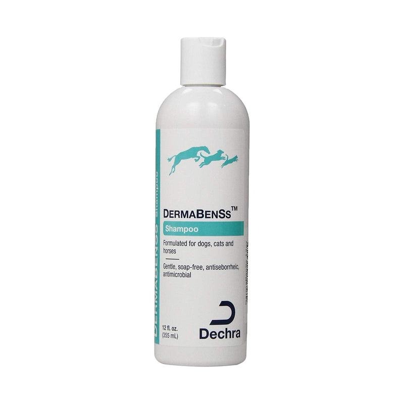 Dechra DermaBenSs Shampoo for Dogs, Cats & Horses (12oz) - Gentle, Soap-Free, Antiseborrheic and Antimicrobial (1810011) - PawsPlanet Australia