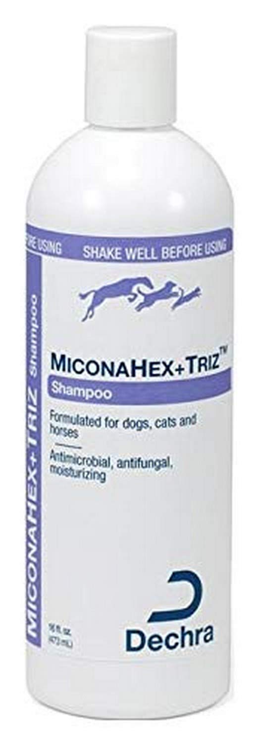 Dechra MiconaHex + Triz Shampoo for Dogs, Cats & Horses 8 Ounce - PawsPlanet Australia