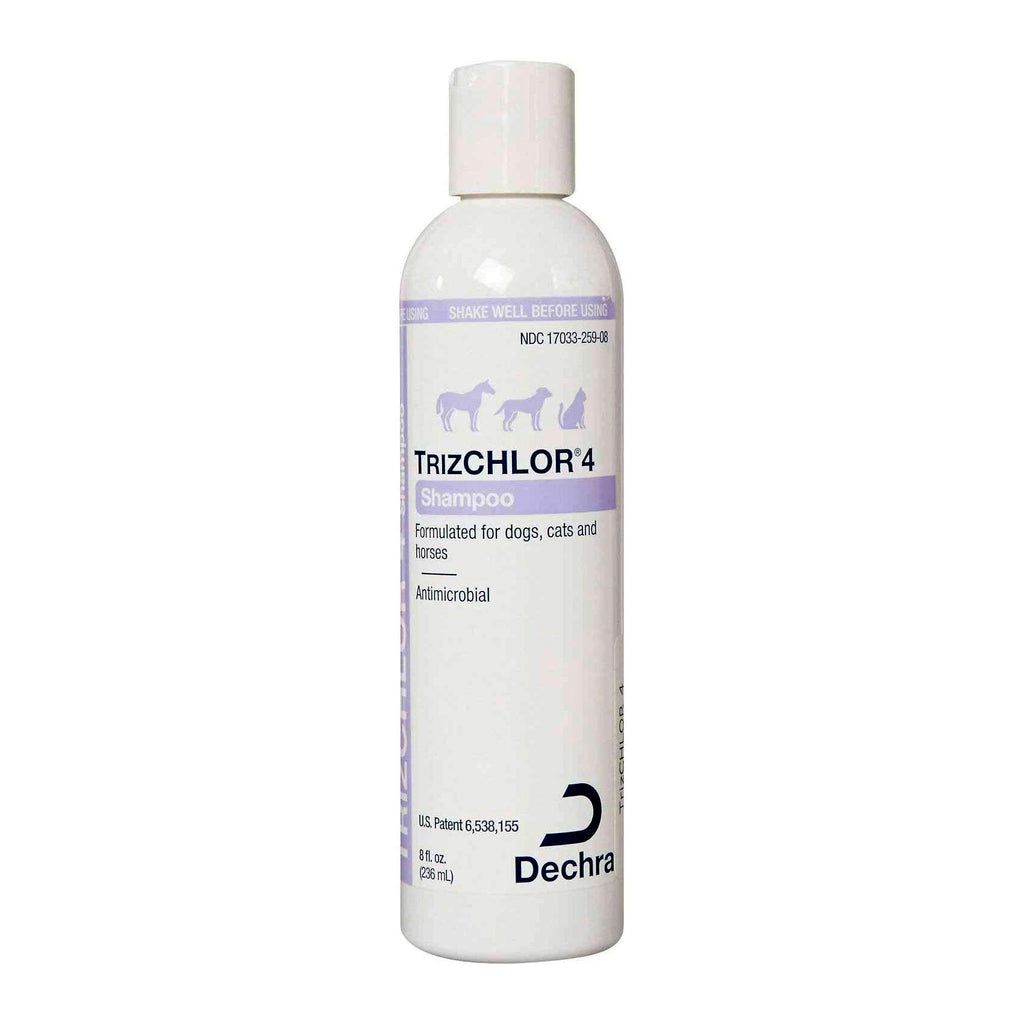 Dechra TrizCHLOR 4 Shampoo for Dogs, Cats & Horses (8oz) - PawsPlanet Australia