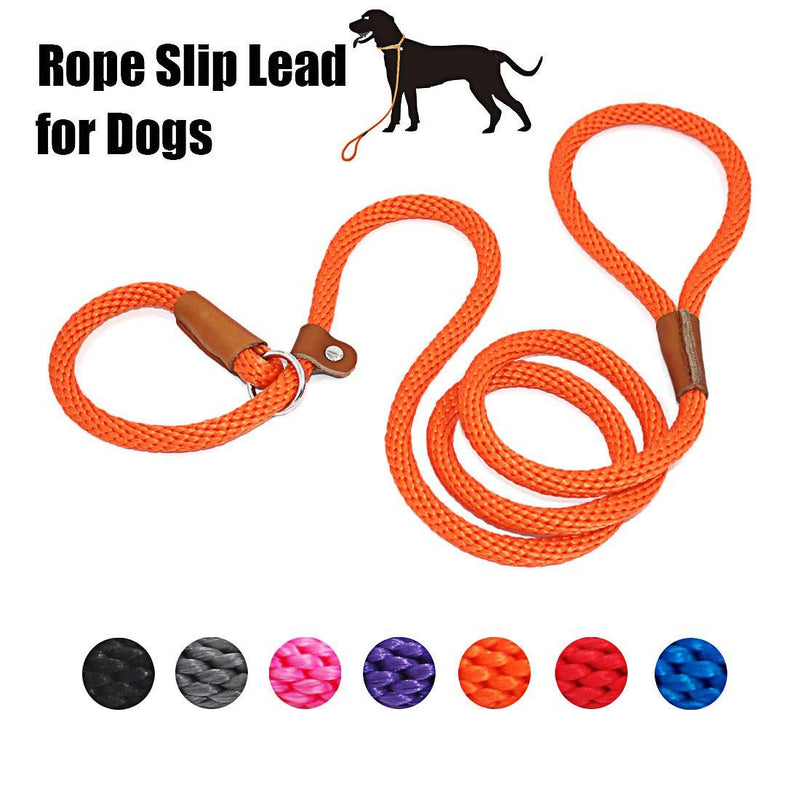 [Australia] - lynxking Dog Leash Slip Rope Lead Leash Strong Heavy Duty Braided Rope No Pull Training Lead Leashes for Medium Large Dogs 6' Orange 