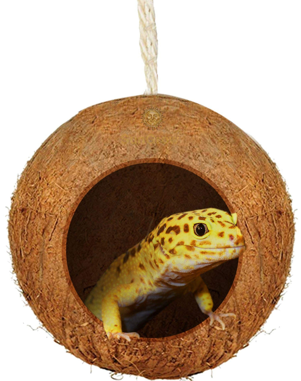 SunGrow Gecko Coconut Hut, Nesting House for Cage or Patio, Finch, Canary, Sparrows’ Feeder, Rough Texture Encourages Foot and Beak Exercise, Home Decor or Hanging Food Dispenser, 1-Hole - PawsPlanet Australia