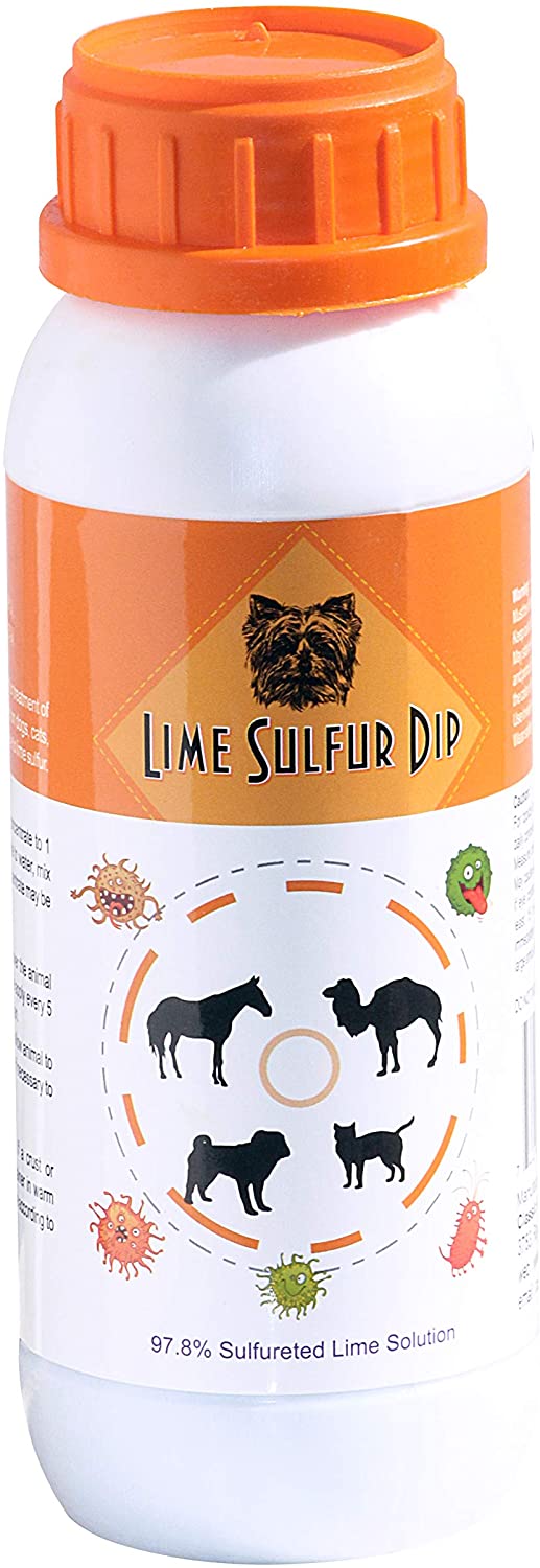Dechra LimePlus Dip for Dogs, Cats & Horses 16 Ounce - PawsPlanet Australia