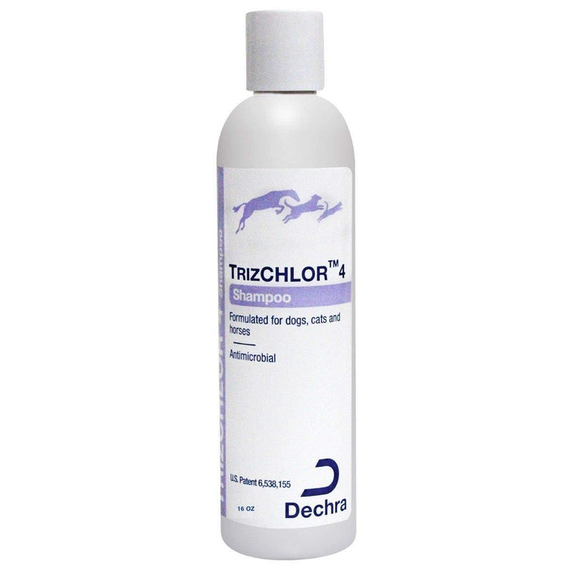 [Australia] - Dechra TrizCHLOR 4 Shampoo for Dogs, Cats & Horses (16oz) 