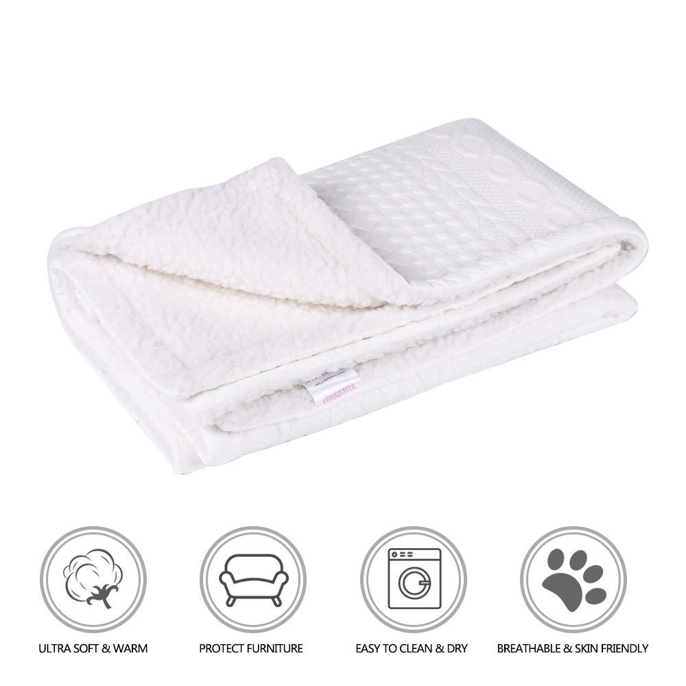 [Australia] - YUNNARL Dog Blanket Premium Fluffy Fleece Kitty Blanket Soft and Warm Puppy Blanket for Dogs & Cats Protects Couch, Chairs, Car, or Bed from Spills, Stains, or Pet Fur Small (24x32") White Blanket 
