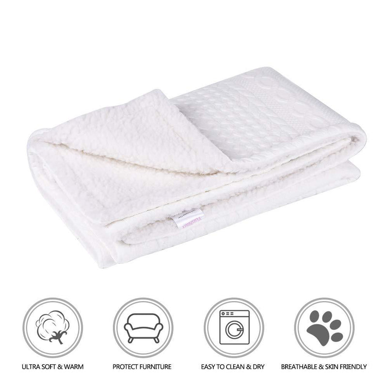 [Australia] - YUNNARL Dog Blanket Premium Fluffy Fleece Kitty Blanket Soft and Warm Puppy Blanket for Dogs & Cats Protects Couch, Chairs, Car, or Bed from Spills, Stains, or Pet Fur Small (24x32") White Blanket 