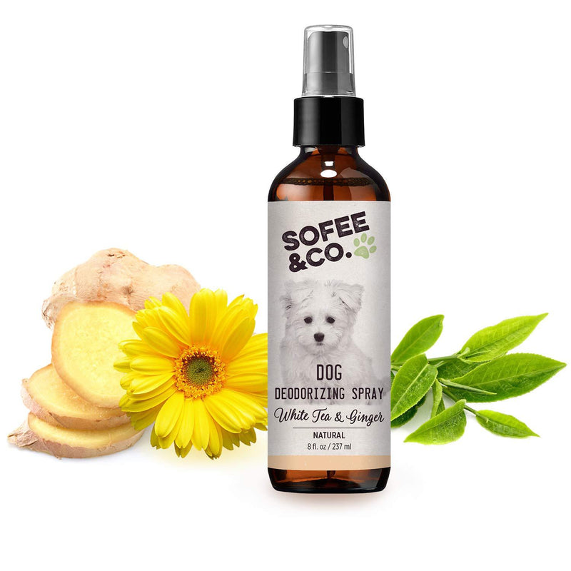 Sofee & Co. Natural Dog Puppy Deodorizing Grooming Spray Perfume Cologne - Odor Control Refresher. Groomer's Choice. Freshen Coats. Eliminate Odors. Use On Pets Bedding Furniture Room. Deodorant White Tea & Ginger - PawsPlanet Australia