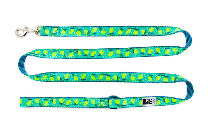 RC Pets 3/4" x 6' Dog Leash, Lemonade - PawsPlanet Australia